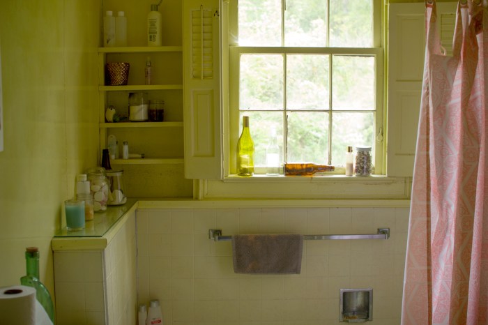 Mary Janes Bathroom2